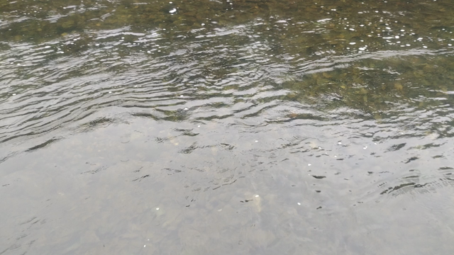 わたしって旅慣れていないのねの記事動画