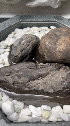 守護神と夢を共有するの記事動画