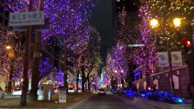 久しぶりにの記事動画