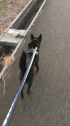 思い出しちゃったの記事動画