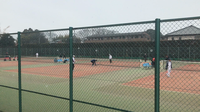 また雪です！の記事動画