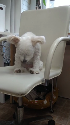 5/28(土)のホテルの様子の記事動画