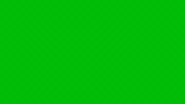 明日は、投票日！の記事動画