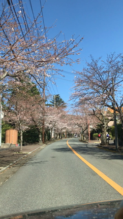 伊豆箱根の記事動画