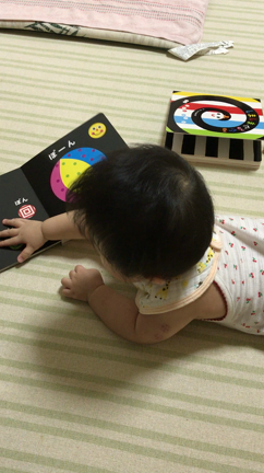 7m27d(239日) 絵本と娘、あと友人夫婦にモヤッとの記事動画