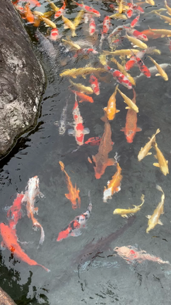 日本庭園の記事動画