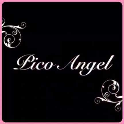 金澤ピコ茶 カラオケ大会の記事動画