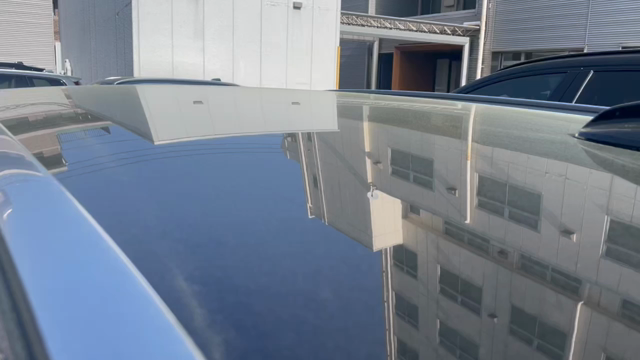 　花粉対策の記事動画