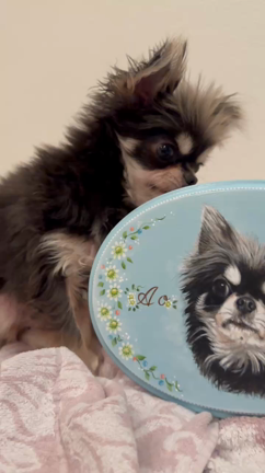 トールペイントの記事動画