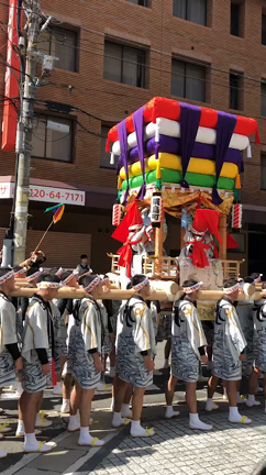 コッコデショ＼(^^)／の記事動画