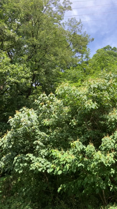 今年も！の記事動画