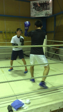 岸和田貝塚市ボクシングの記事動画