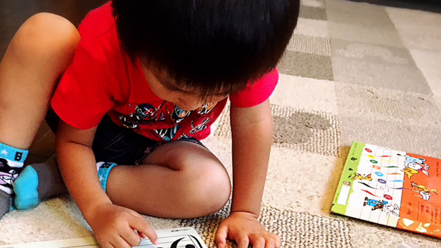 教えてないのに音階歌いだす◎動画の記事動画