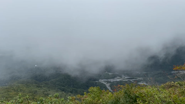 秋が来たの記事動画