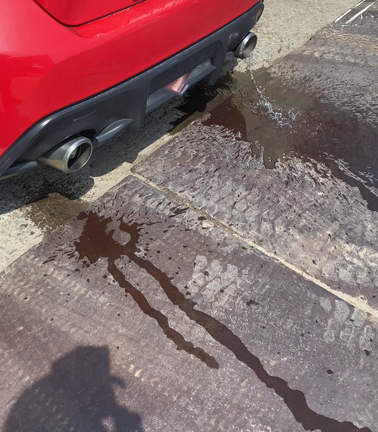 世の中は唐津。の記事動画