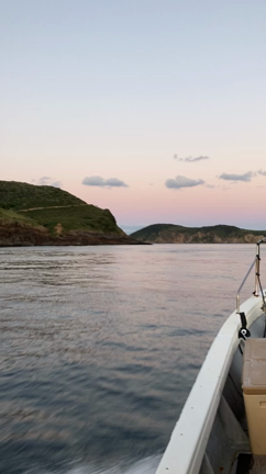 べんてん丸近況の記事動画