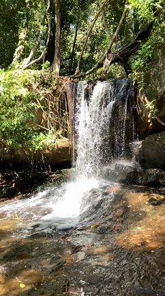 Today's・・・の記事動画