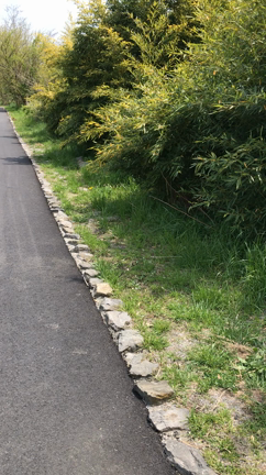 ビデオレター(〃ω〃)の記事動画