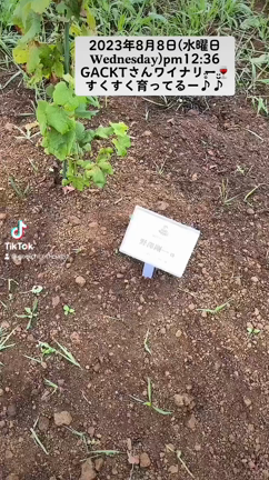 2023/08/09の記事動画