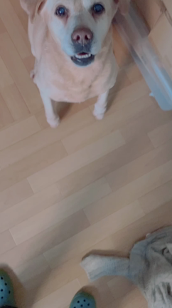 朝おリクの記事動画