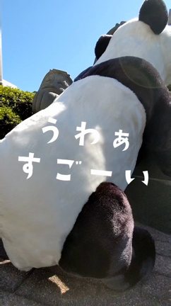 転んだら起き上がればいいさ( ´∀｀)の記事動画