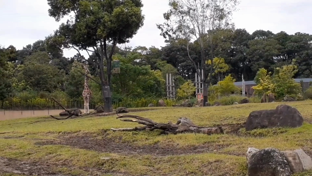 凄いぜ！ズーラシア！の記事動画