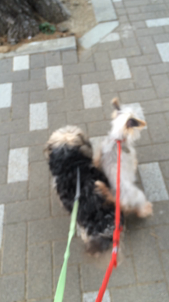 梅雨入りですね〜♪の記事動画