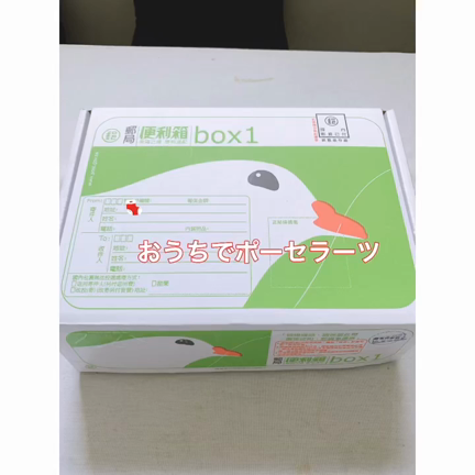 オンラインレッスン　ポーセラーツ編の記事動画