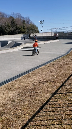 てっちん、肋骨折れたってよ。の記事動画