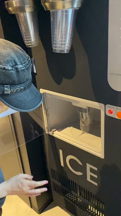 エヴァホテル　お笑い編の記事動画