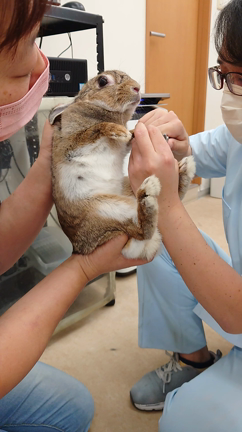 休日にした事の記事動画