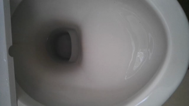 SCジョンソン 住居用クリーナー スクラビングバブル 【トイレ洗剤 流せるトイレブラシ】の記事動画