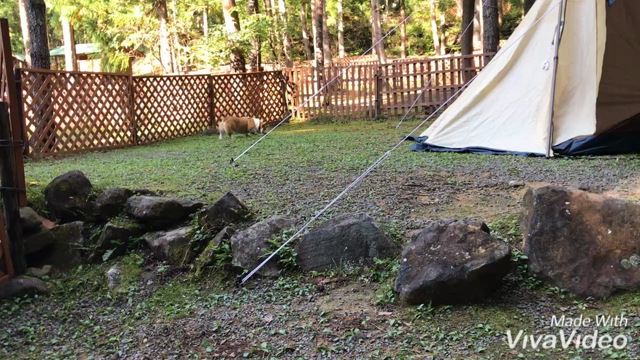 ＮＡＯ明野高原キャンプ場へ行ったよ！の記事動画