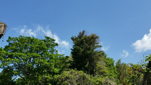 まいたま 5ねんめ #310 お天気よかったね〜の記事動画