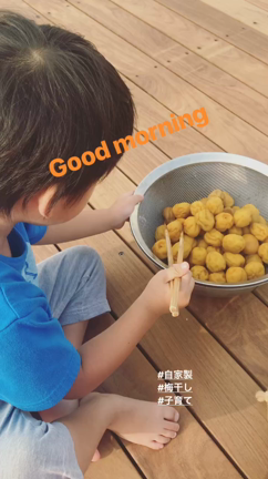 梅酢✨さしすうめぼしの記事動画