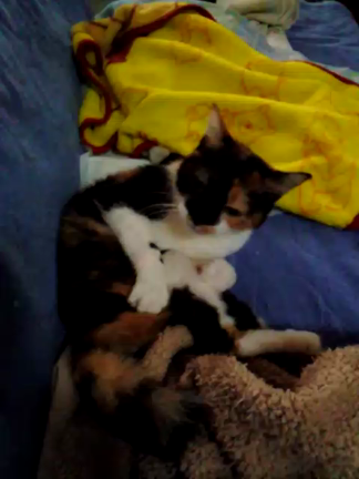 一年の記事動画