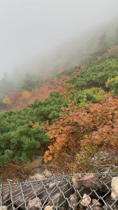 八甲田山  その1の記事動画