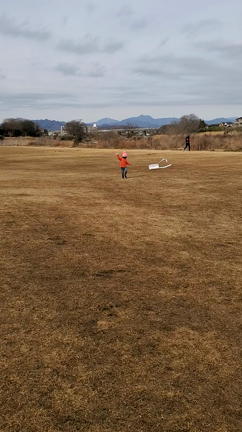 凧上げの日曜日。の記事動画