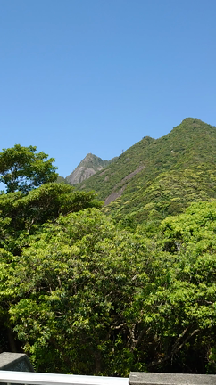 屋久島 19 【のりこ】の記事動画