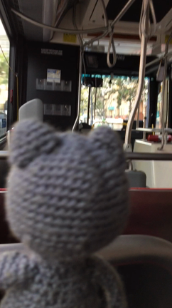 サンディエゴ旅 2日目 その1 サンディエゴ動物園の記事動画