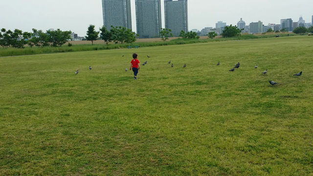 るんるん♪の記事動画