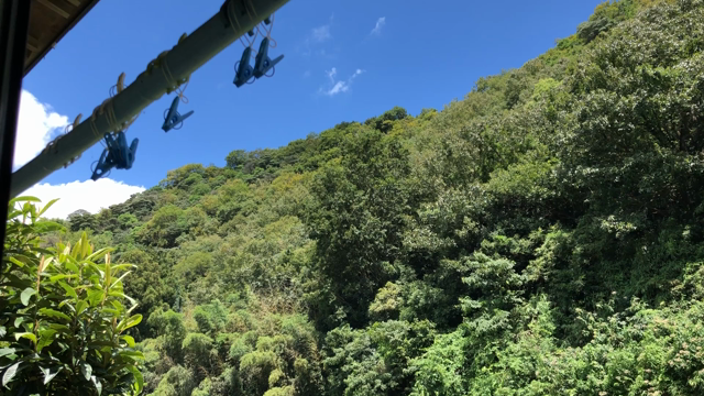 無駄なことに使いたいの記事動画