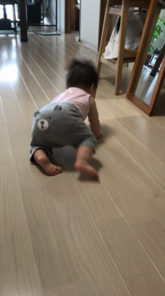 生後9ヶ月 ハイハイがちょっと変 子育てと日々のくらしの日記 おまめのくらし