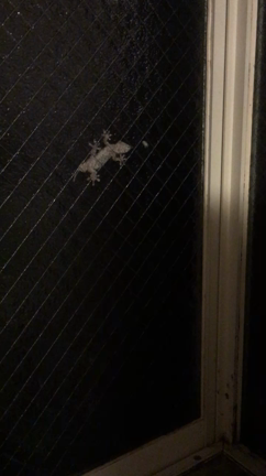 婚活男子よ！面白い事が話せなくても・・・お任せ下さい！の記事動画