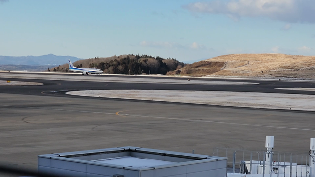 愛車とピクミンと推し活の記事動画