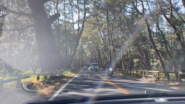 日々どんな器を使っていますか？の記事動画