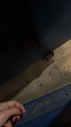 可愛いお客さんの記事動画