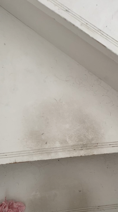 家事代行あるあるの記事動画