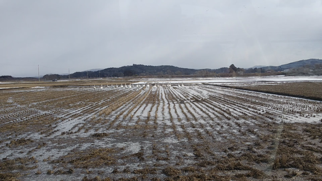 3月の出店予定～♪の記事動画