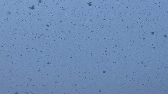 こんな風に降る雪は好きの記事動画